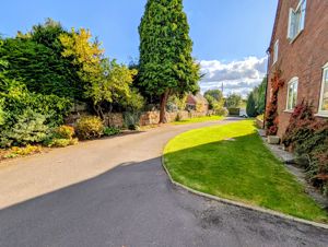 Photo 51- click for photo gallery